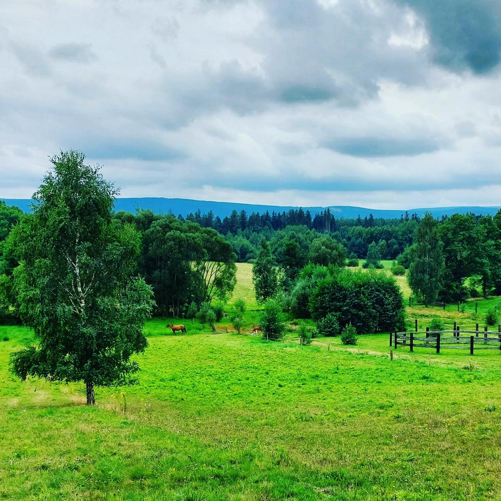 Maja Pokoje Z Widokiem Kameralna Agroturystyka Na Pogorzu Izerskim Z Sauna I Jacuzzi (Adults Only) Mirsk Экстерьер фото