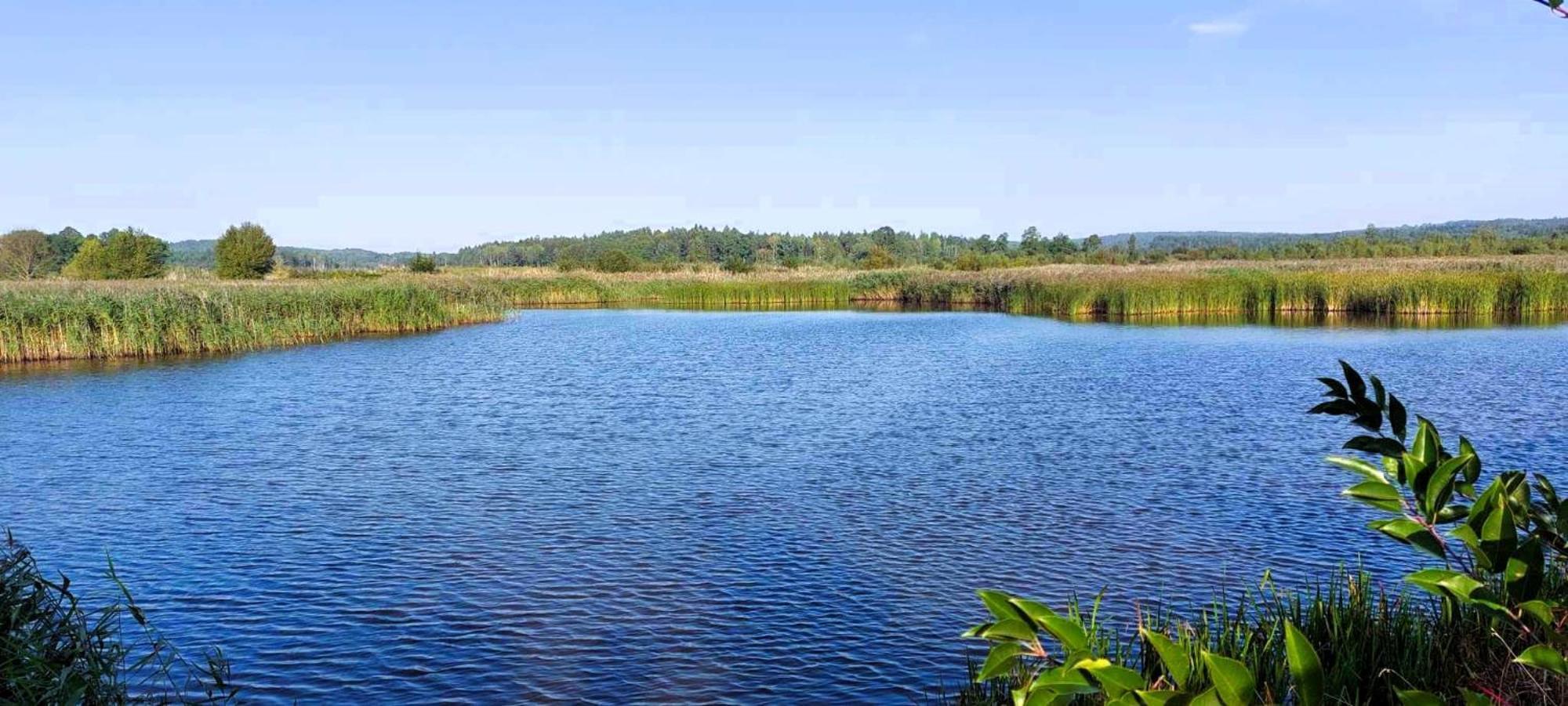 Maja Pokoje Z Widokiem Kameralna Agroturystyka Na Pogorzu Izerskim Z Sauna I Jacuzzi (Adults Only) Mirsk Экстерьер фото