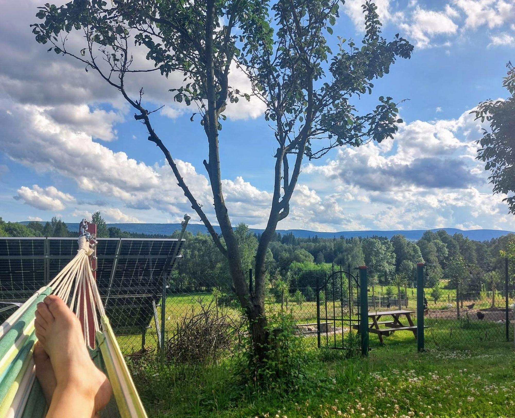 Maja Pokoje Z Widokiem Kameralna Agroturystyka Na Pogorzu Izerskim Z Sauna I Jacuzzi (Adults Only) Mirsk Экстерьер фото